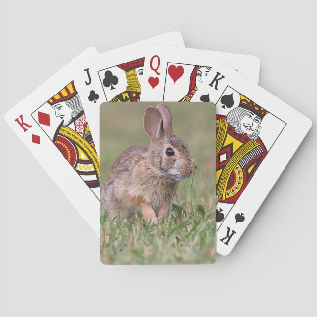 Cottontail Rabbit Playing Cards (Back)