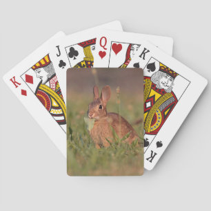 Cottontail Rabbit Playing Cards