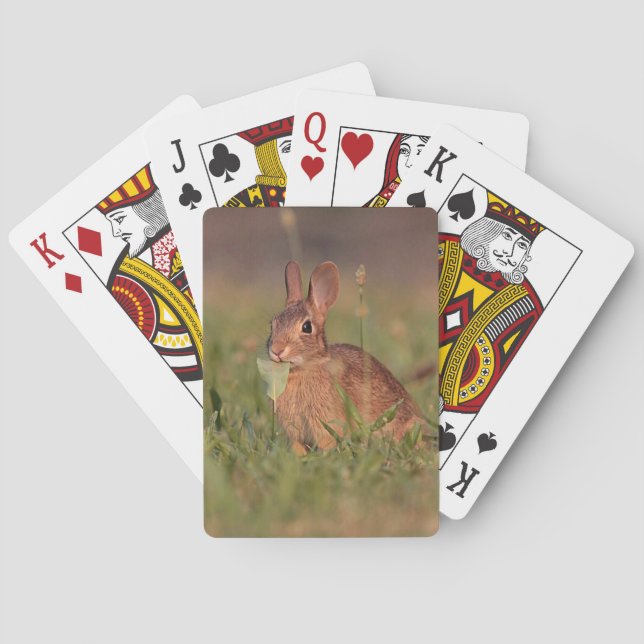 Cottontail Rabbit Playing Cards (Back)