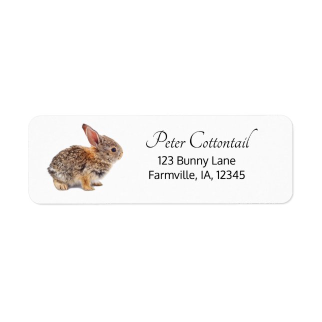 Cottontail Rabbit Return Address (Front)