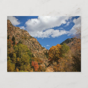 Cottonwood Canyon Scenic Byway Autumn in Utah Postcard