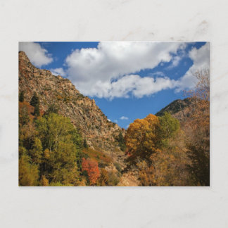 Cottonwood Canyon Scenic Byway Autumn in Utah Postcard