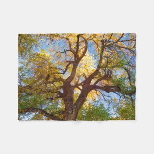 Cottonwood Tree   Capitol Reef National Park, Utah Fleece Blanket