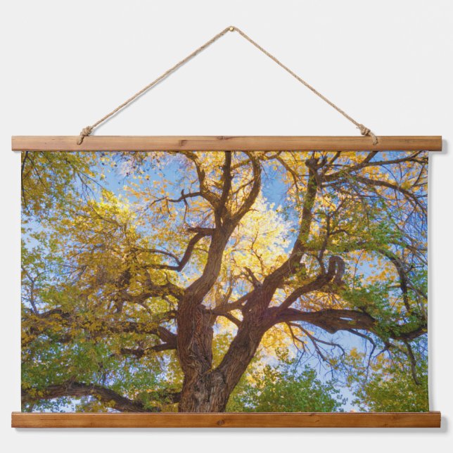 Cottonwood Tree | Capitol Reef National Park, Utah Hanging Tapestry (Front)