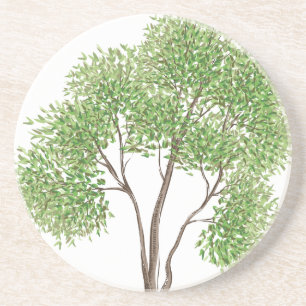 Cottonwood Tree Coaster