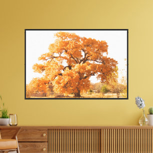 Cottonwood Trees Canvas Print