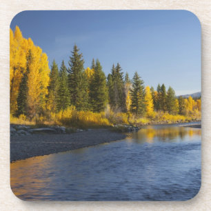 Cottonwood trees reflected in Pacific Creek Coaster