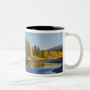 Cottonwood trees reflected in Pacific Creek Two-Tone Coffee Mug