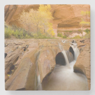 Cottonwoods in Autumn, Coyote Gulch, Glen Stone Coaster