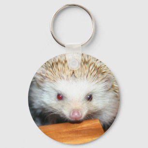 Cotty hedgehog key ring