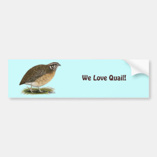 Coturnix Pharaoh Quail Bumper Sticker