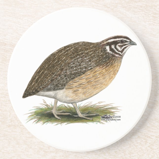 Coturnix Pharaoh Quail Coaster (Front)