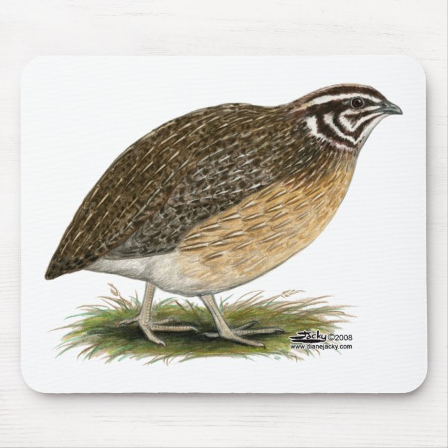 Coturnix Pharaoh Quail Mouse Mat (Front)