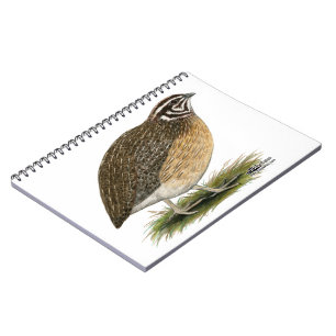 Coturnix Pharaoh Quail Notebook