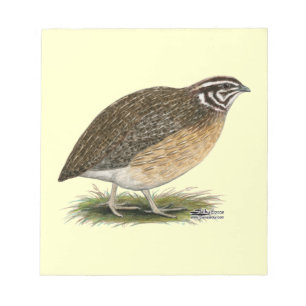 Coturnix Pharaoh Quail Notepad