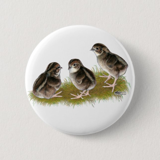 Coturnix Quail Chicks 6 Cm Round Badge (Front)