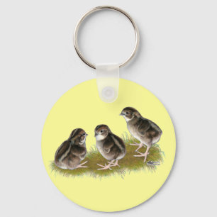 Coturnix Quail Chicks Key Ring