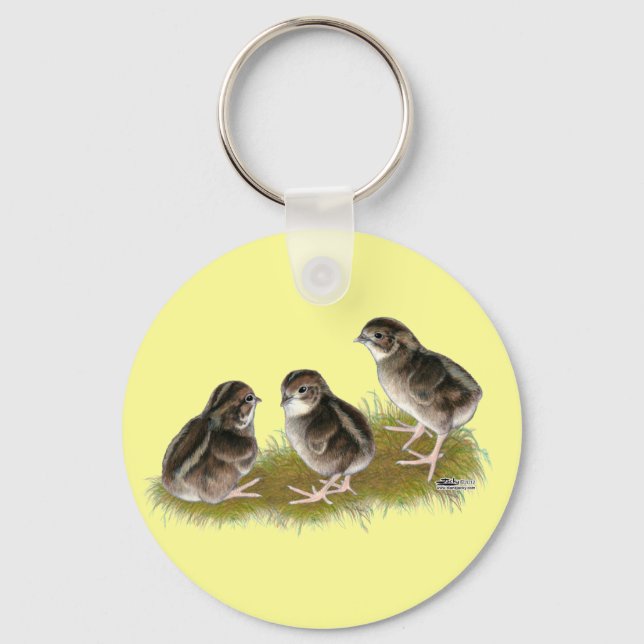 Coturnix Quail Chicks Key Ring (Front)