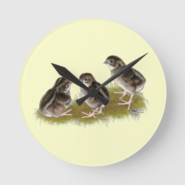 Coturnix Quail Chicks Round Clock (Front)