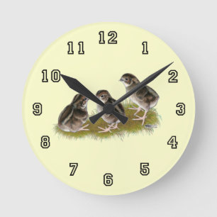 Coturnix Quail Chicks Round Clock