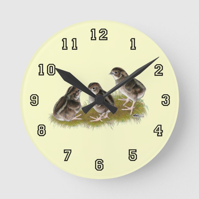 Coturnix Quail Chicks Round Clock (Front)
