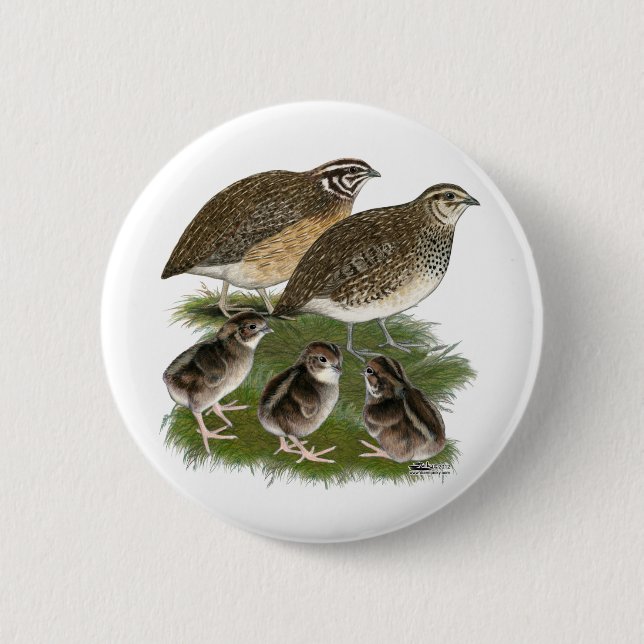 Coturnix Quail Family 6 Cm Round Badge (Front)