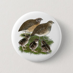 Coturnix Quail Family 6 Cm Round Badge