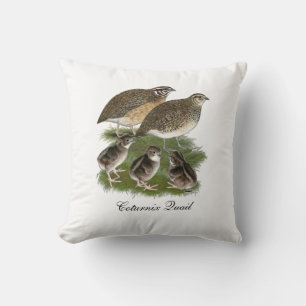 Coturnix Quail Family Cushion