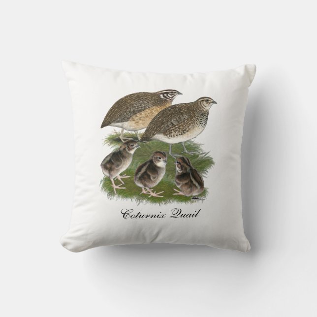 Coturnix Quail Family Cushion (Front)