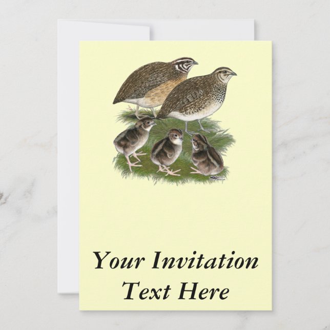Coturnix Quail Family Invitation (Front)