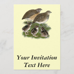 Coturnix Quail Family Invitation