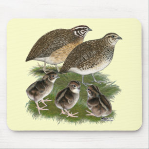 Coturnix Quail Family Mouse Mat