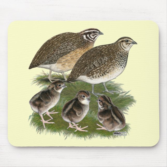Coturnix Quail Family Mouse Mat (Front)