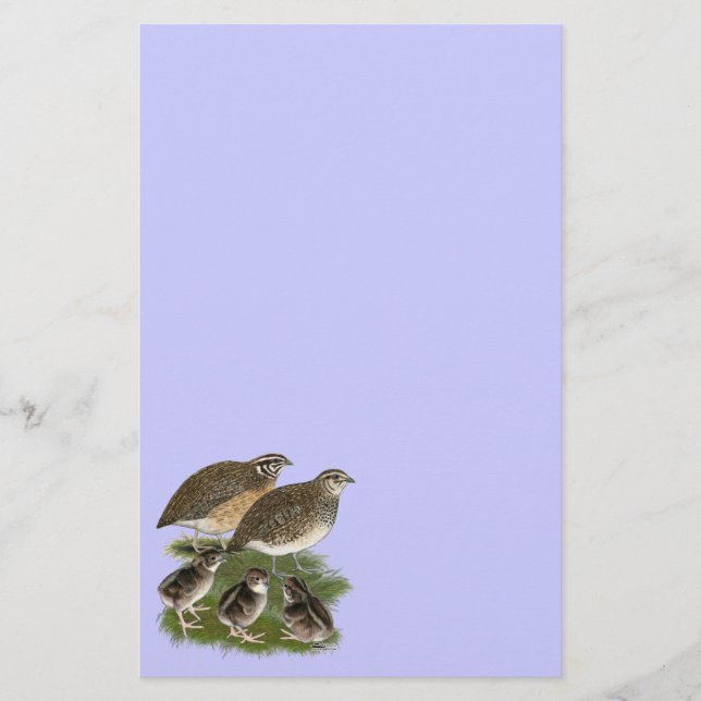 Coturnix Quail Family Stationery (Front)