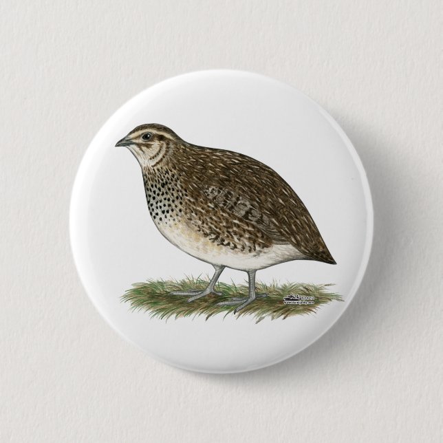 Coturnix Quail Hen 6 Cm Round Badge (Front)