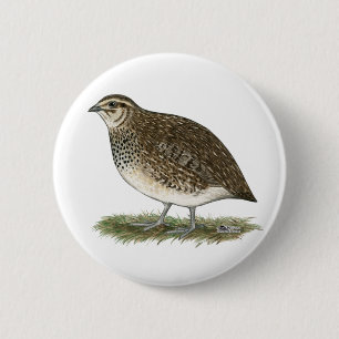 Coturnix Quail Hen 6 Cm Round Badge