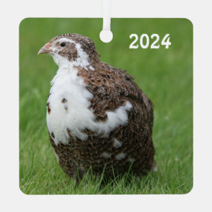Coturnix Quail in the grass Metal Tree Decoration