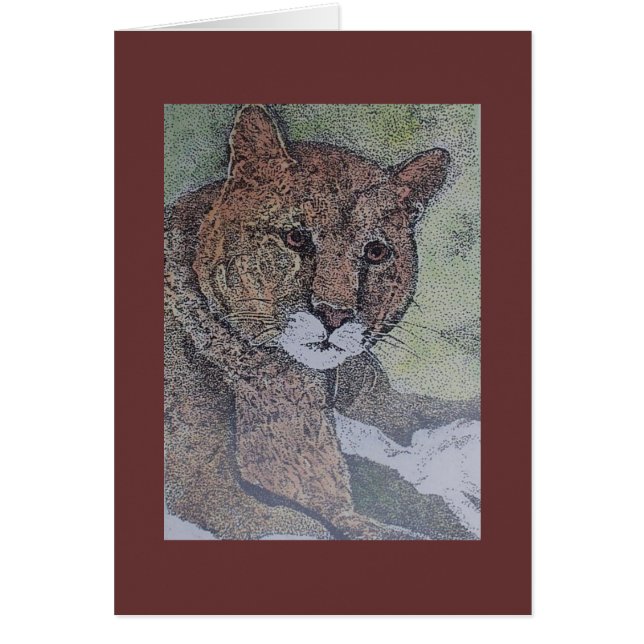 cougar (Front)