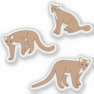 Cougar