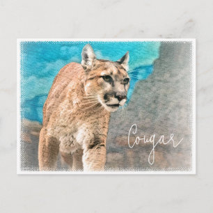 Cougar ポストカード postcard