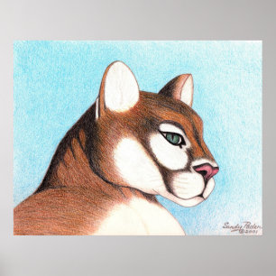 Cougar #2 poster