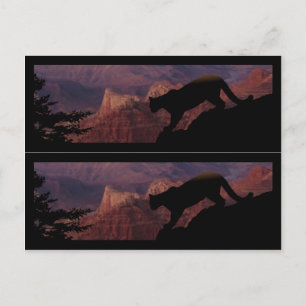 Cougar and the Grand Canyon Postcard