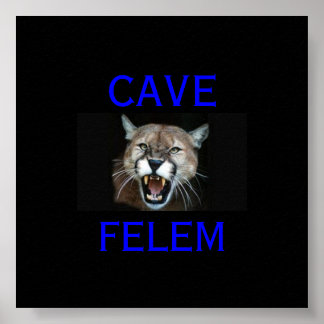 COUGAR Beware  Of The Cat - In Latin.. - Poster