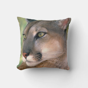 Cougar, California Cushion
