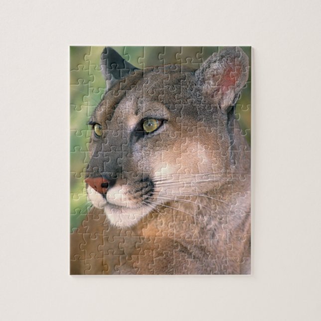 Cougar, California Jigsaw Puzzle (Vertical)