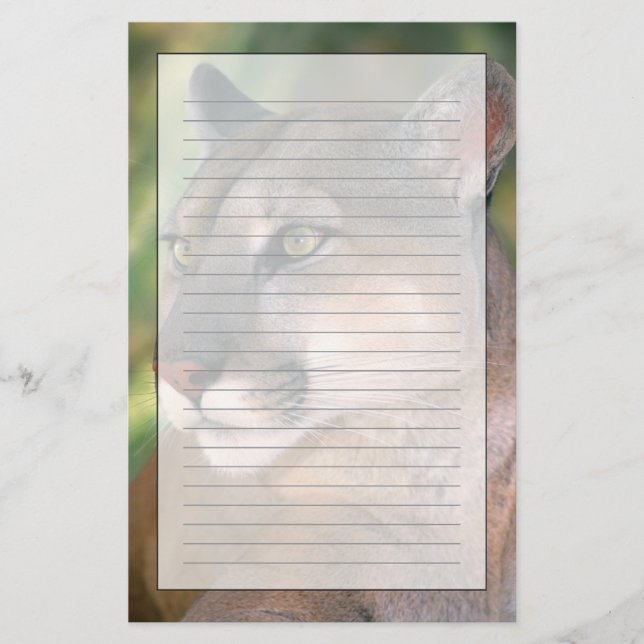 Cougar, California Stationery (Front)