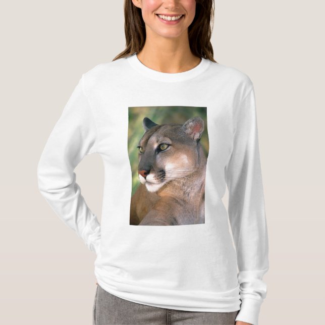 Cougar, California T-Shirt (Front)