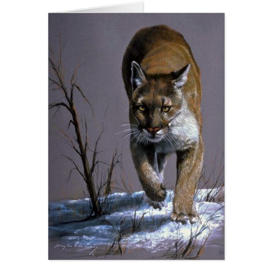 Cougar Card