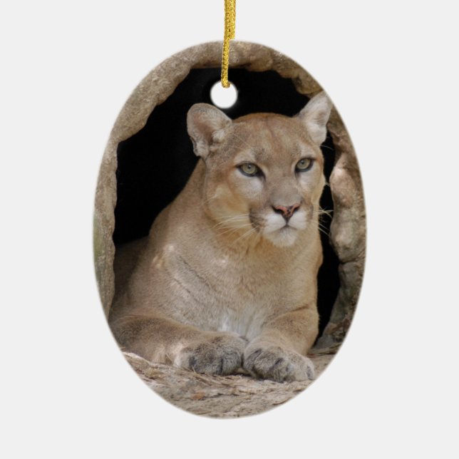 Cougar Christmas Ornament (Front)