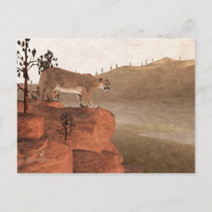 Cougar - Concentration Postcard